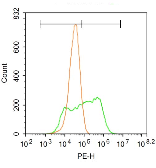 多药耐药相关蛋白1抗体-bs-0657R