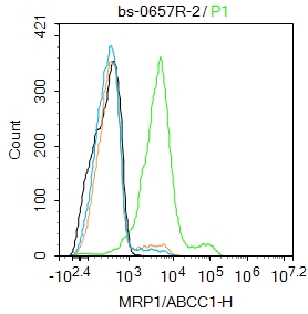 多药耐药相关蛋白1抗体-bs-0657R