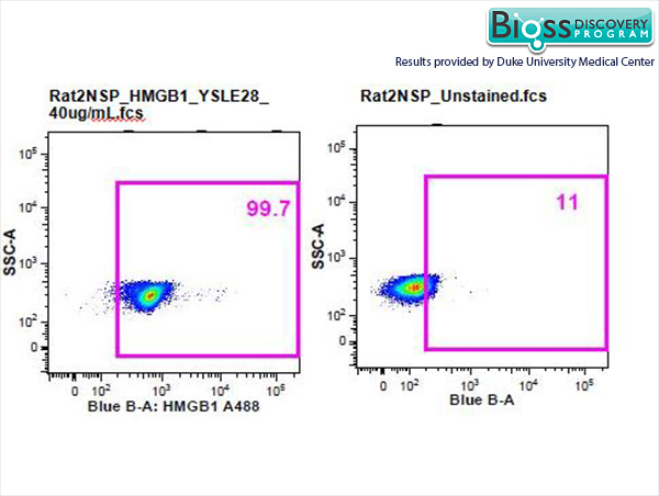 HMGB1 Rabbit pAb (一抗) - Flow-Cyt | Bioss