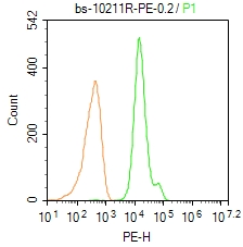 FOXP3 Rabbit pAb (一抗) - Flow-Cyt | Bioss