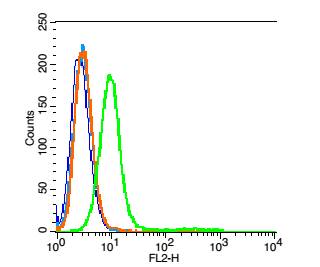 脂滴包被蛋白Perilipin-A抗体-bs-10779R