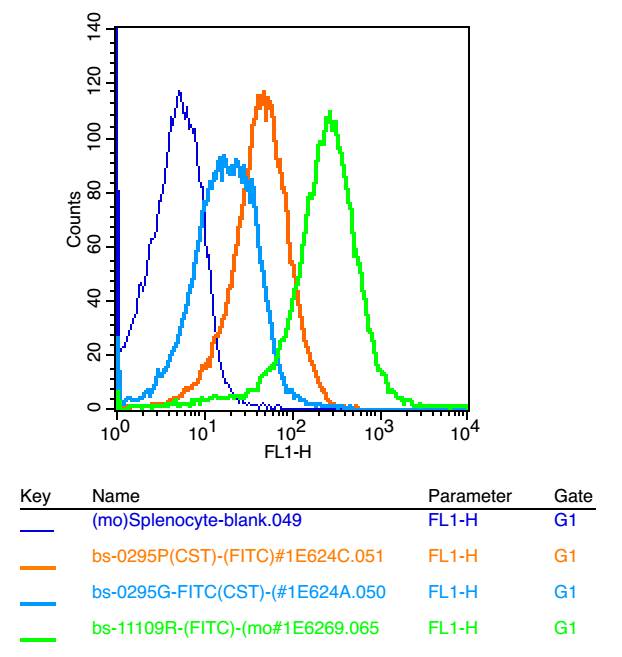 原钙粘附蛋白12/血管内皮钙粘蛋白2抗体-bs-11109R