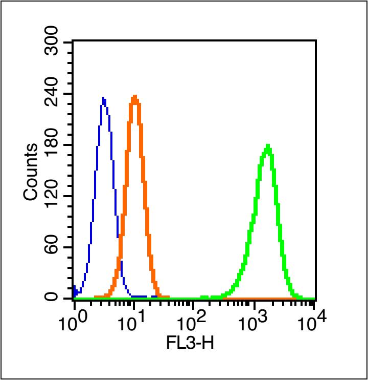 α2C-AR肾上腺素能受体抗体-bs-12040R