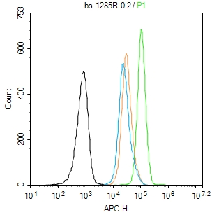 转录因子家族ETS1抗体-bs-1285R