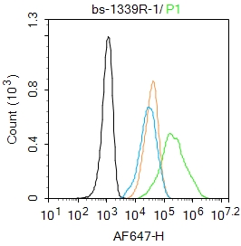 细胞角蛋白18抗体(C端)-bs-1339R
