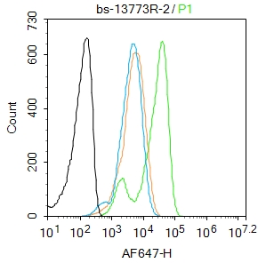 磷酸化14-3-3 β/ζ抗体-bs-13773R