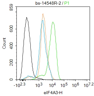 eIF4A3蛋白抗体-bs-14548R