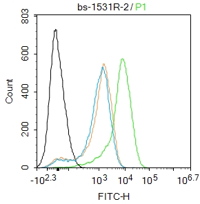 活化转录因子4抗体-bs-1531R