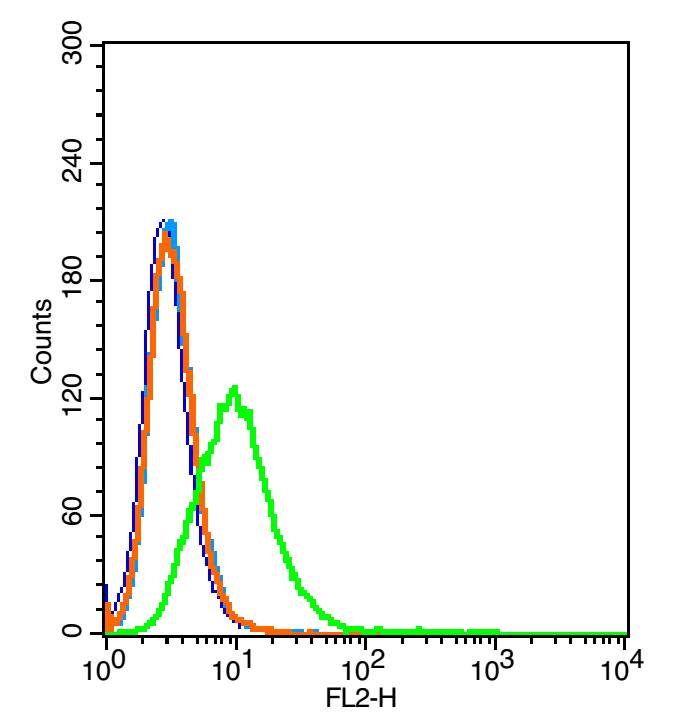 CD59 Rabbit pAb (一抗) | Bioss