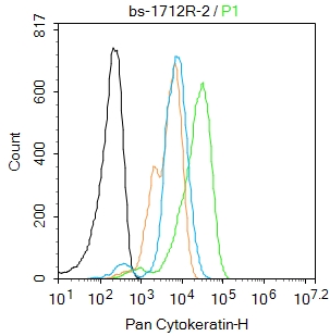 广谱细胞角蛋白PCK抗体