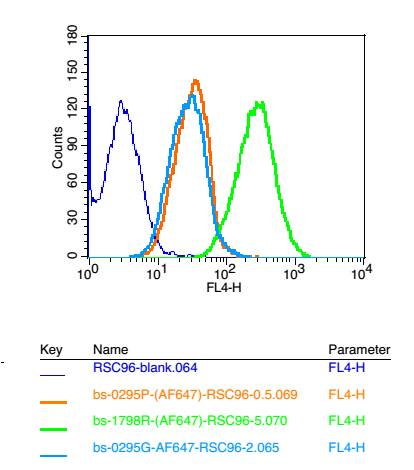 谷氨酸受体2抗体-bs-1798R