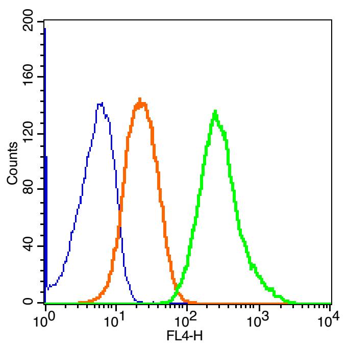 神经节苷酯抗体-bs-2367R