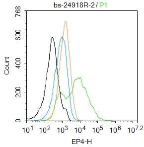 前列腺素E受体蛋白4抗体-bs-24918R