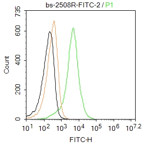 FITC标记的整合素αX抗体