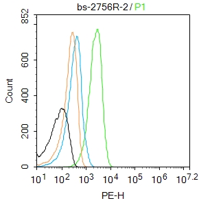 微管结合蛋白CYLD抗体-bs-2756R