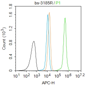 磷酸化组蛋白H2AX抗体-bs-3185R