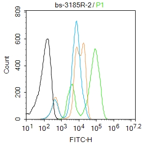 磷酸化组蛋白H2AX抗体-bs-3185R
