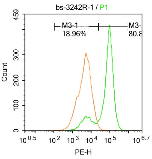 磷酸化原癌基因蛋白c-kit（CD117）抗体-bs-3242R
