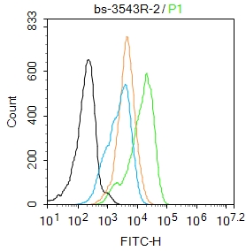 磷酸化细胞核因子NF-κB p65抗体-bs-3543R