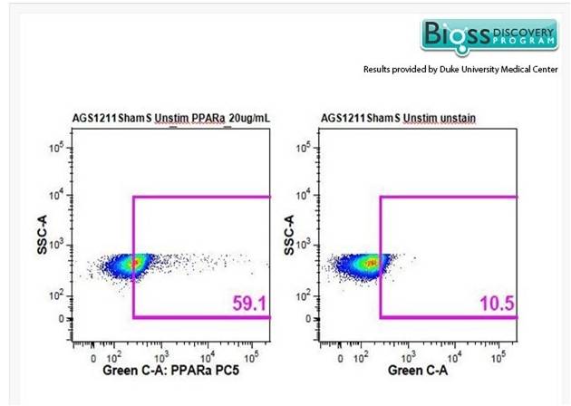 α型-过氧化酶活化增生受体抗体