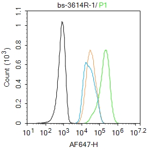 α型-过氧化酶活化增生受体抗体