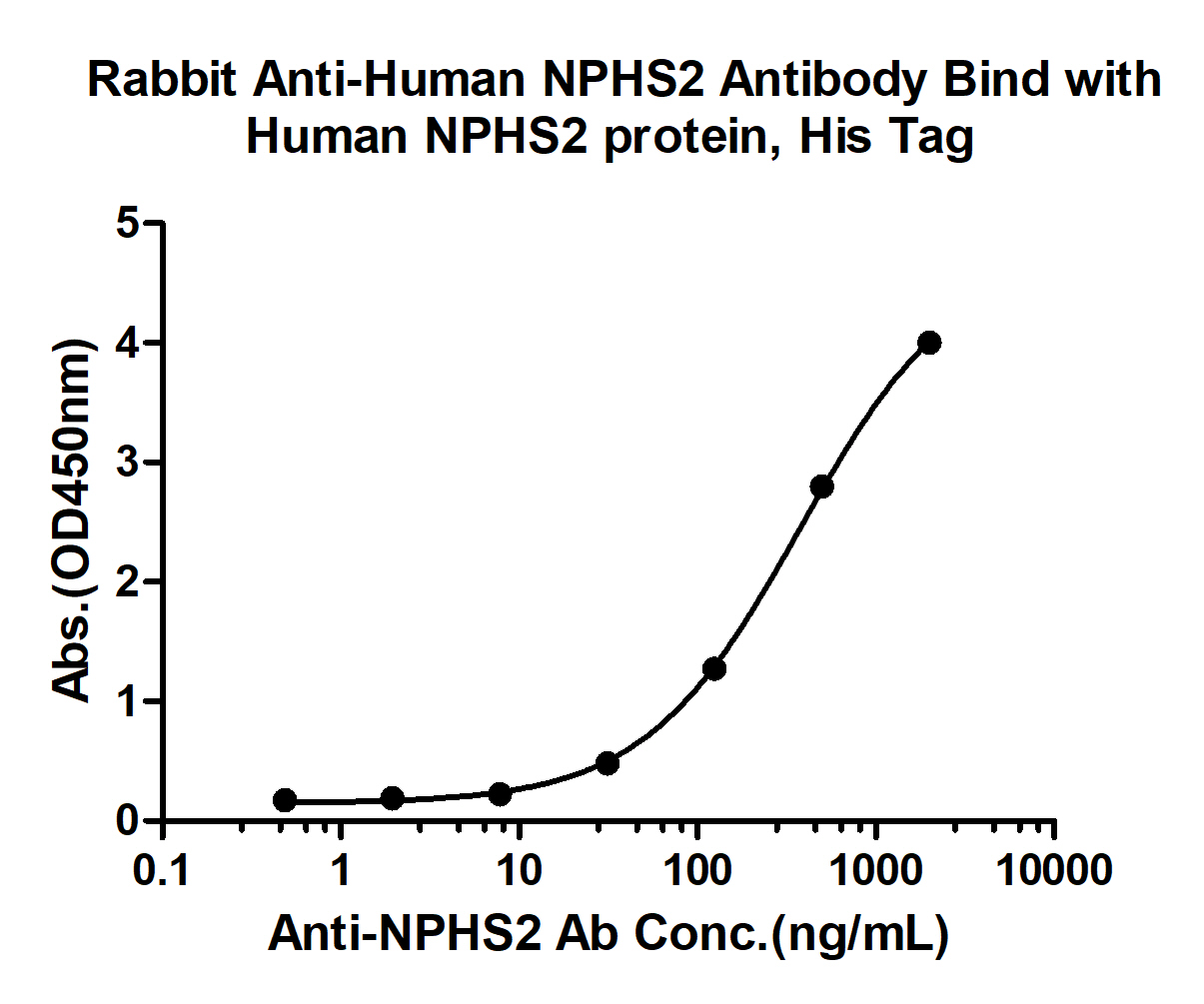 肾小球裂孔膜蛋白PDCN抗体-bs-41306R