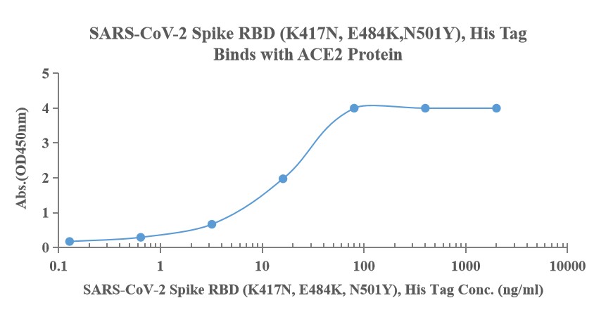 Recombinant SARS-Cov-2 Spike RBD protein (E417N, E484K, N501Y), His