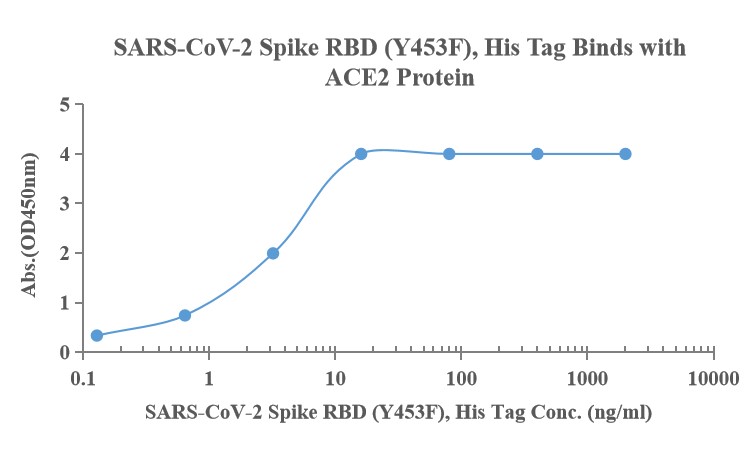 Recombinant SARS-Cov-2 Spike RBD protein (Y453F), His