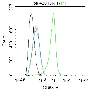 CD68 Rabbit pAb (一抗) | Bioss