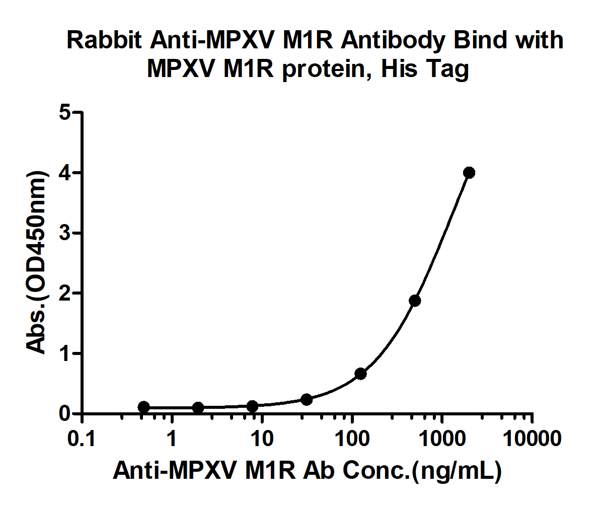 猴痘病毒MIR抗体