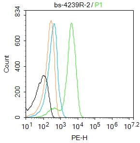 BNIP3 Rabbit pAb (一抗) | Bioss