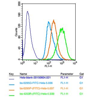 SMAD家族9抗体-bs-4253R