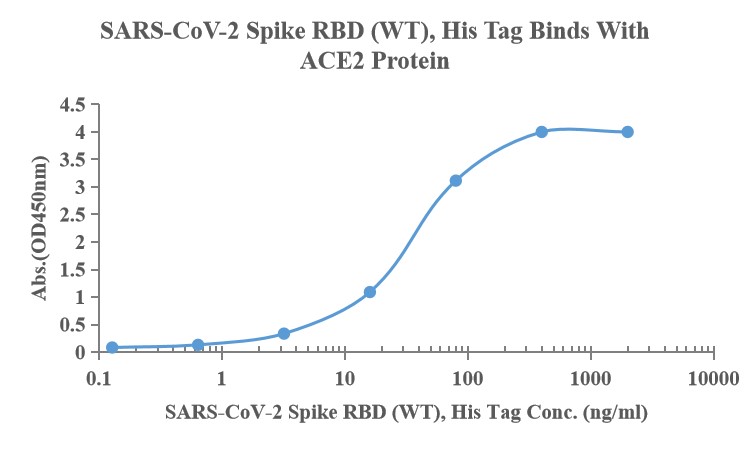 Recombinant SARS-Cov-2 Spike RBD protein, His (HEK293)