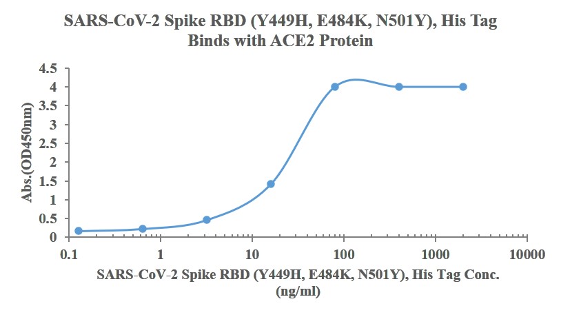 Recombinant SARS-Cov-2 Spike RBD protein (Y449H, E484K ,N501Y), His (HEK293)