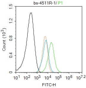 微管蛋白β tubulin/Tubulin β（内参）抗体-bs-4511R