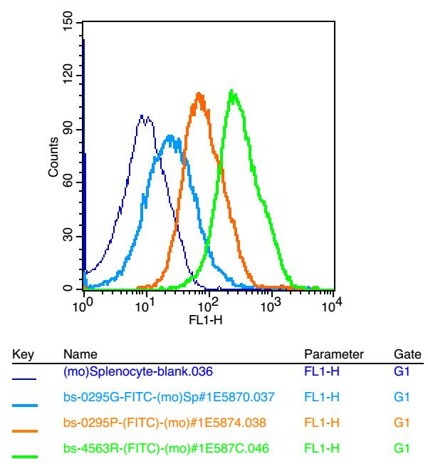Bcl-2 Rabbit pAb (一抗) - Flow-Cyt,ICC/IF | Bioss