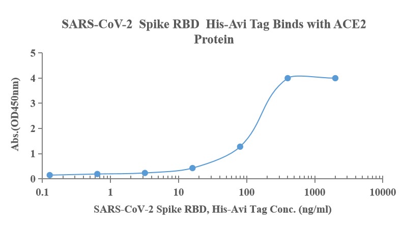 Recombinant SARS-Cov-2 Spike RBD protein, His & Avi (HEK293)