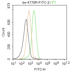 FITC标记的造血干细胞抗原CD133抗体