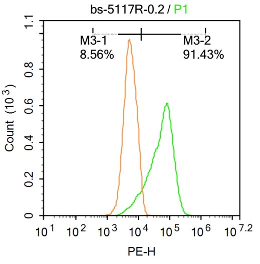热休克蛋白71抗体-bs-5117R