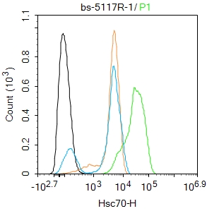 热休克蛋白71抗体-bs-5117R