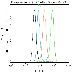 磷酸化结蛋白抗体-bs-5302R