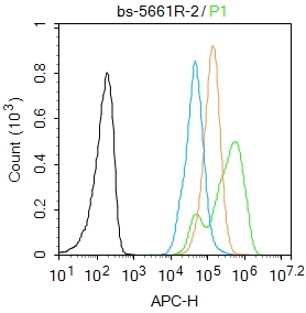 磷酸化细胞核因子抗体-bs-5661R