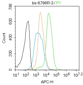细胞死亡活化蛋白抗体-bs-6796R