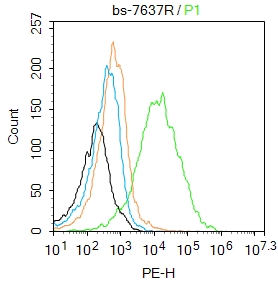 细胞间粘附分子4抗体-bs-7637R