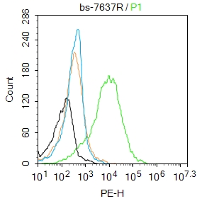 细胞间粘附分子4抗体-bs-7637R