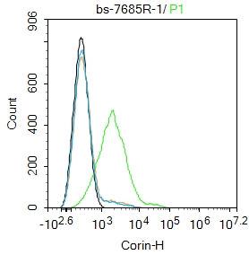 Corin Rabbit pAb (一抗) | Bioss
