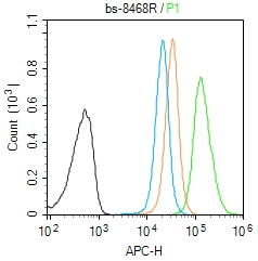 FBXL5蛋白抗体-bs-8468R