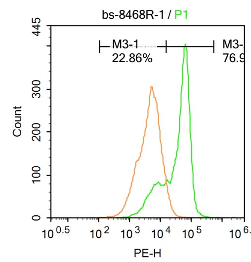 FBXL5蛋白抗体-bs-8468R
