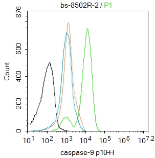 半胱胺酸蛋白酶蛋白9-p10抗体-bs-8502R