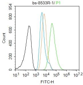 波形蛋白抗体-bs-8533R